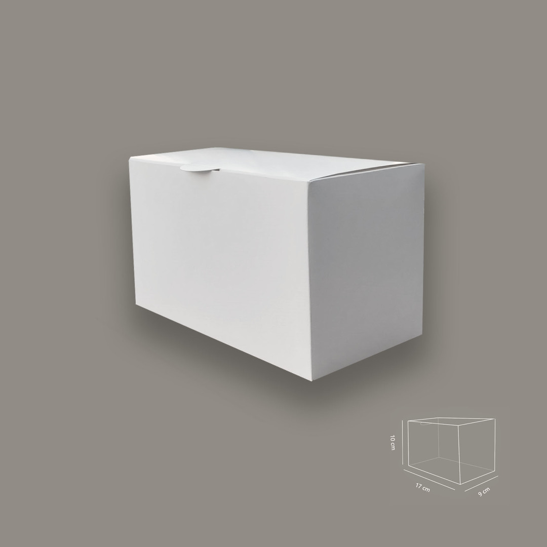 Caja Blanca Con Tapa Unida 17x9x10