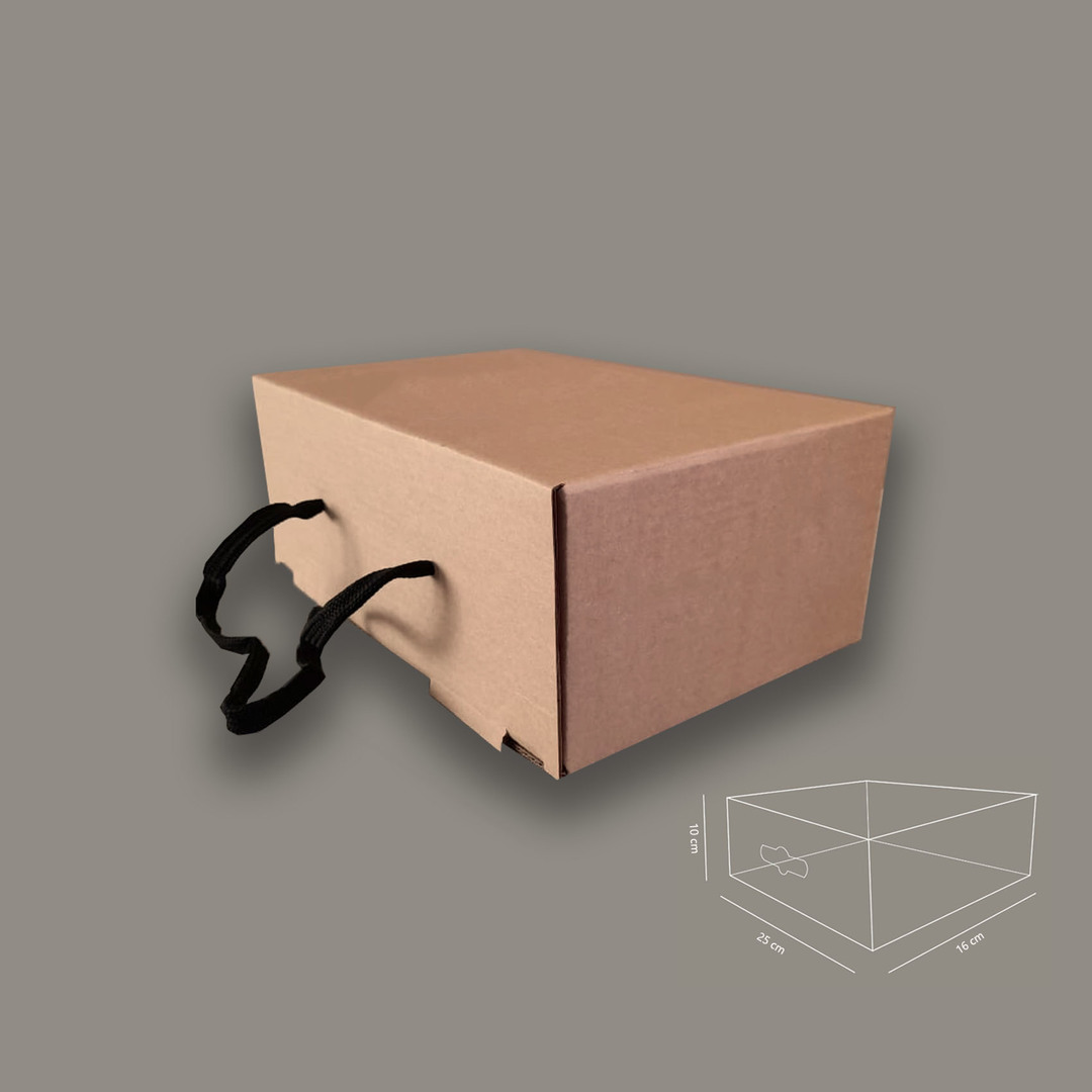 Caja Bolsa De Microcorrugado  25x16x10