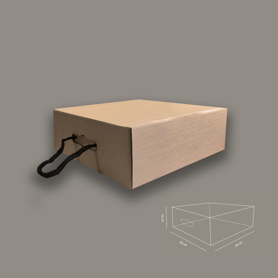 Caja Bolsa De Microcorrugado  30x28x10 