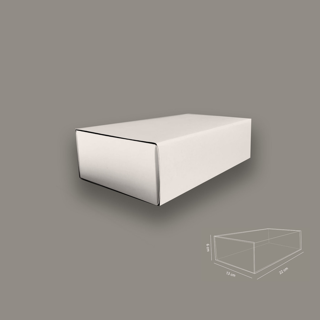 Caja Blanca Fosforera 22x13x6 